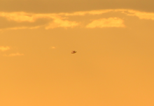 Load image into Gallery viewer, SKIES OF PEACE